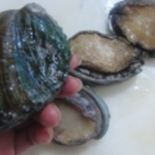 やってみないか 鮑の刺身 レシピ 作り方 By あとぶー 楽天レシピ やってみないか 鮑の刺身 レシピ 作り方 By あとぶー 楽天レシピ